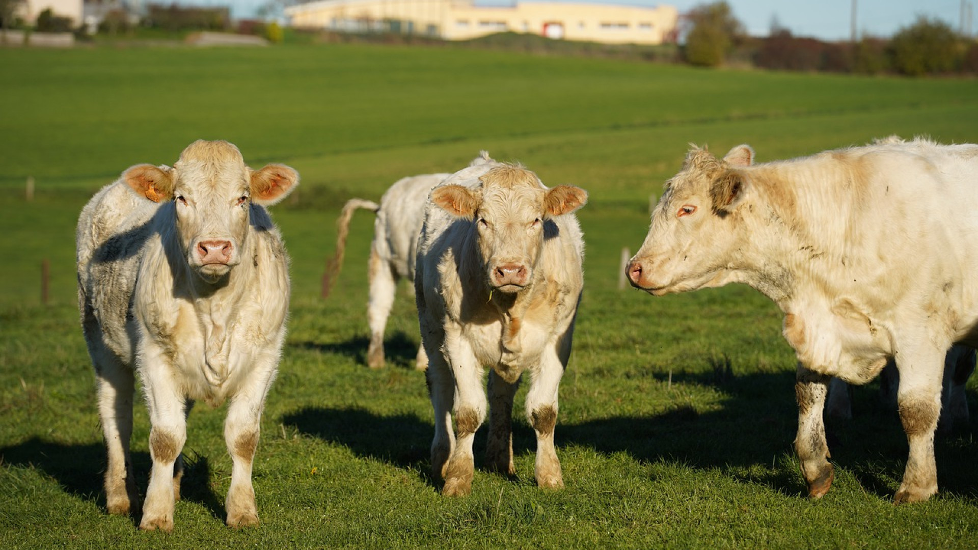 Pourquoi le secteur agricole doit recourir aux services d'un spécialiste pour leurs véhicules ?