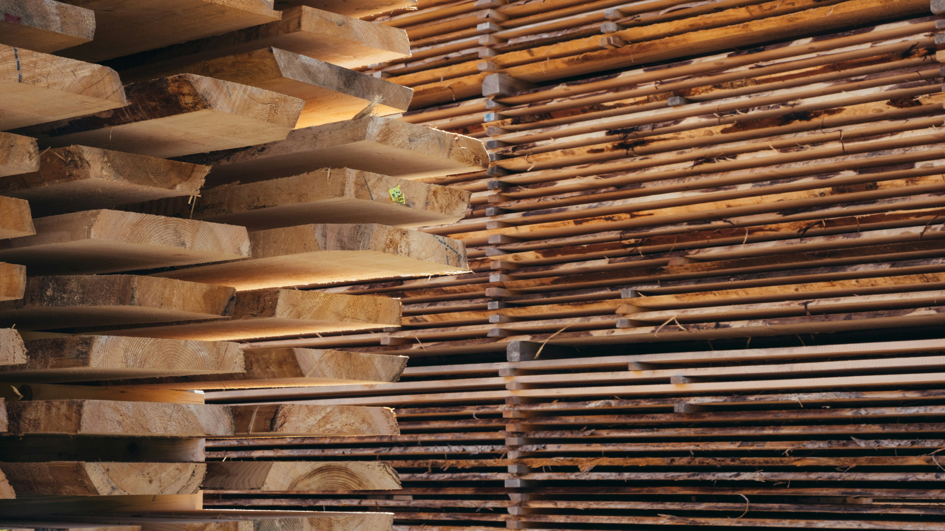 Découvrez les avantages d'un atelier d'usinage bois professionnel